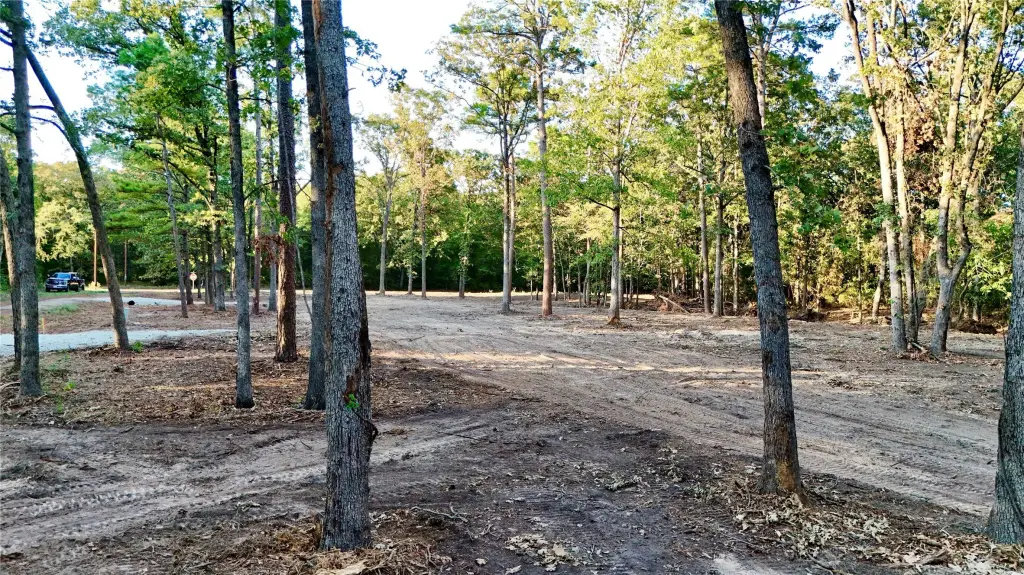 Picture 6
