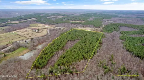 38 Acres of Wooded Land