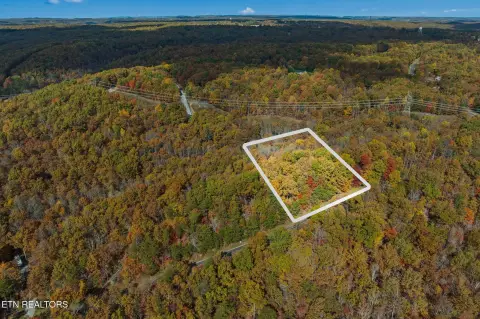 Wooded Land in Cumberland Cove