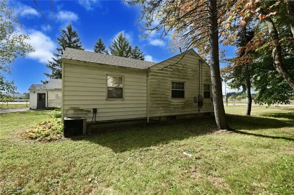 Picture 20