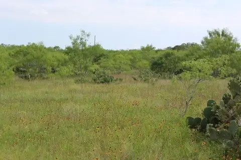 25 Acres of Natural Beauty