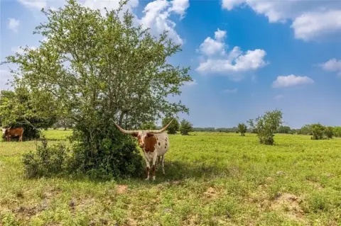 Columbus, TX Recreational Land