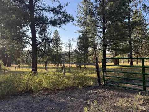 Land in the Blue Mountains