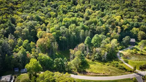 86 Acres of Vacant Land