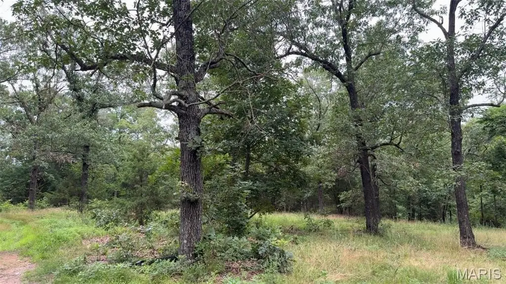 Picture 25