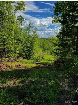 80 Acres Recreational Land For Sale