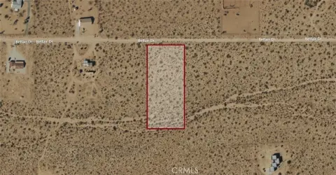 Joshua Tree Land Opportunity