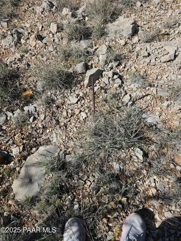 Picture 5