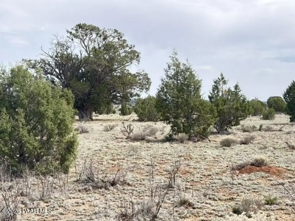 Picture 17