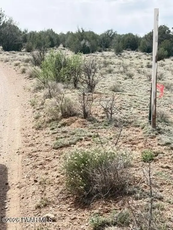 Picture 20