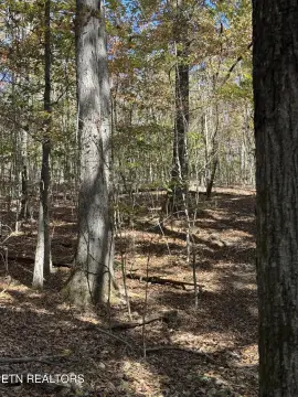 Loudon, TN Land For Sale