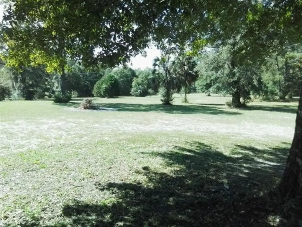 Picture 50