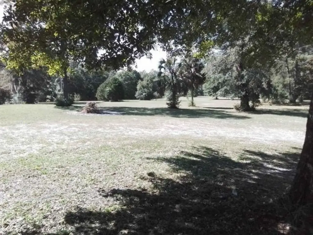 Picture 42