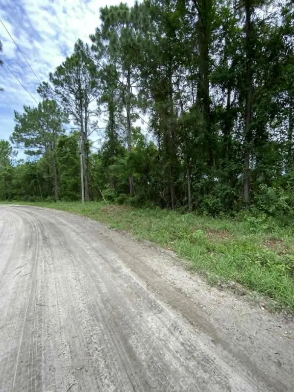 Picture 2
