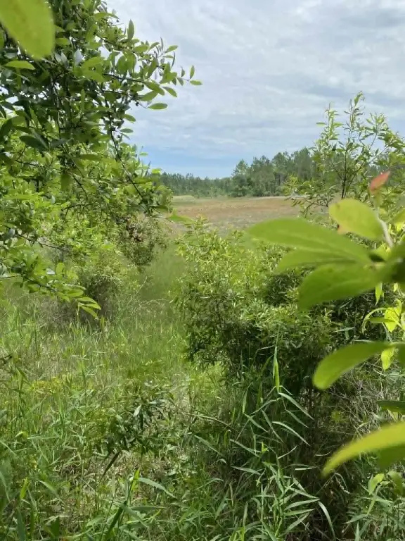 Picture 3