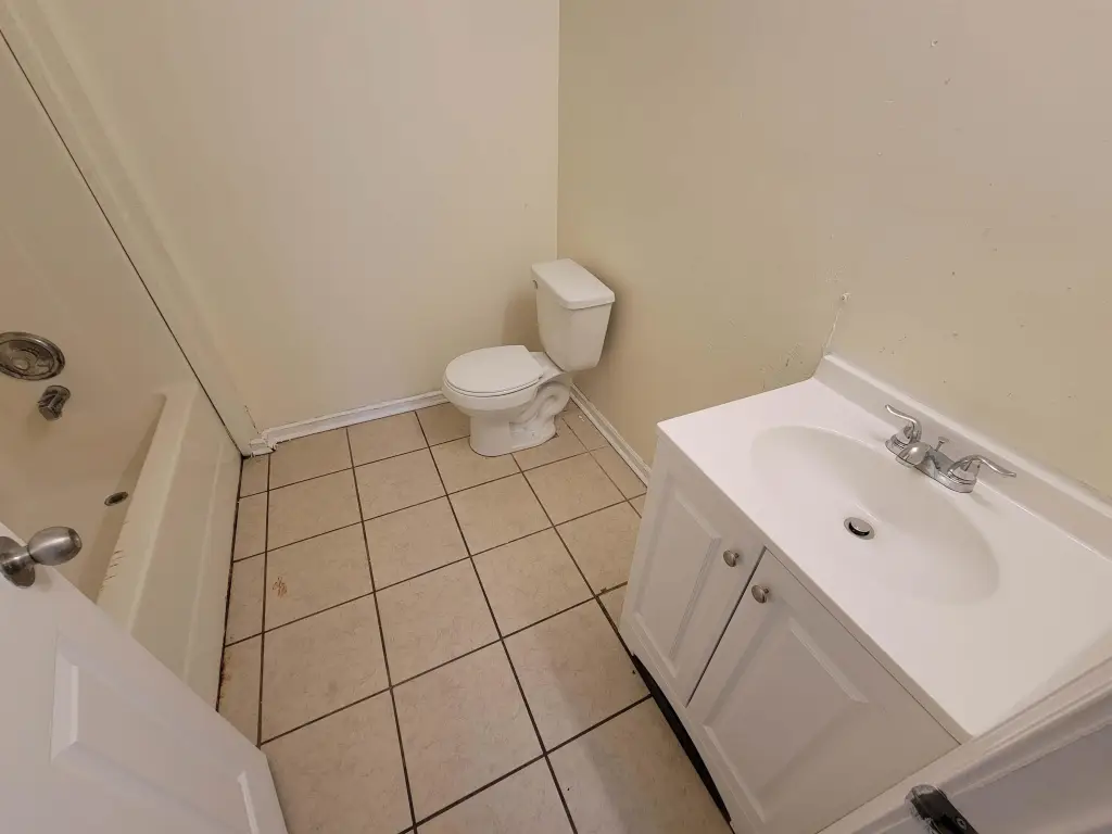 Picture 7