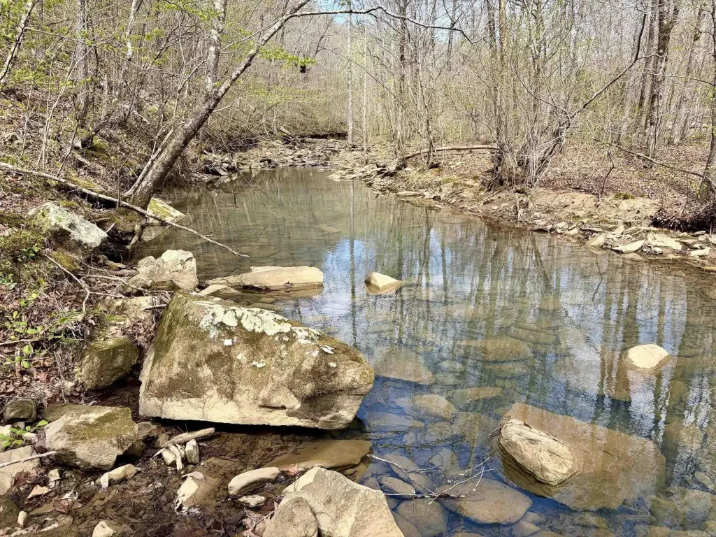 Picture 17