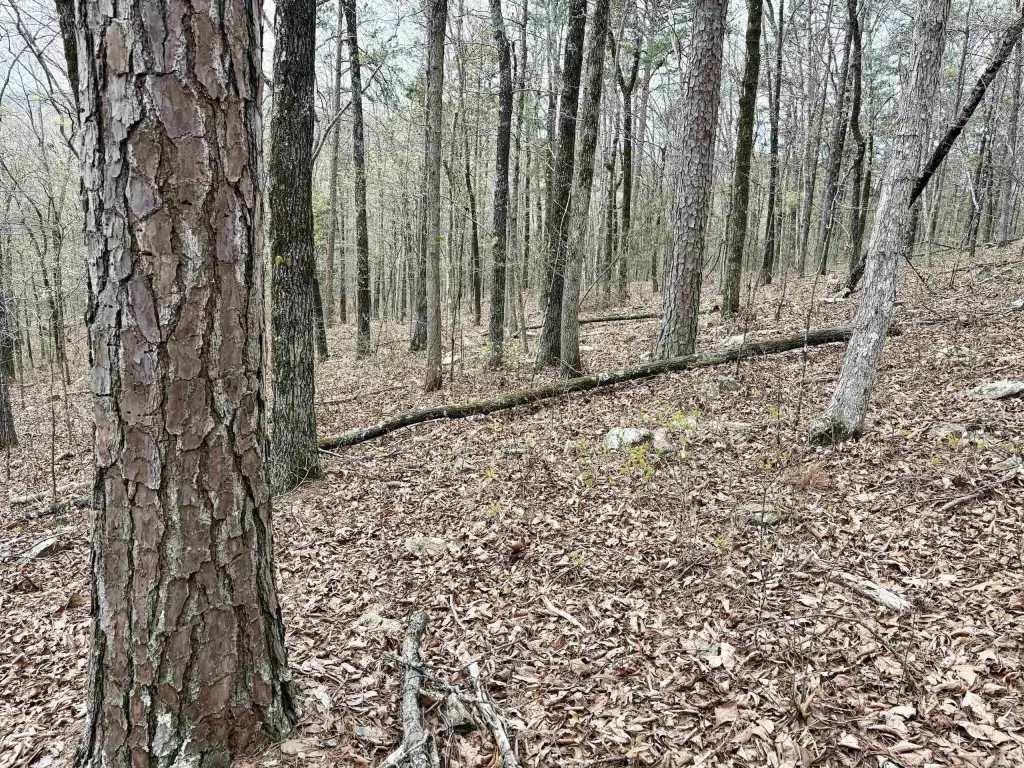 Picture 13