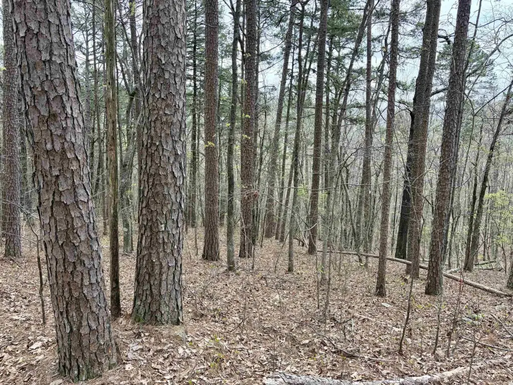 Picture 14