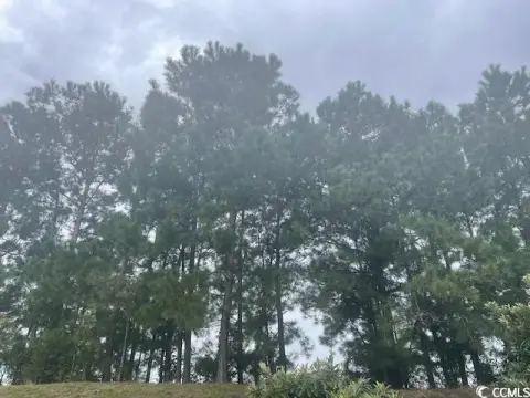 Residential Lot in Longs, SC