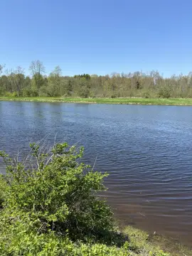 Waterfront Land with River Frontage