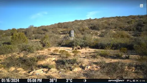 Langtry Canyon Ranch Property