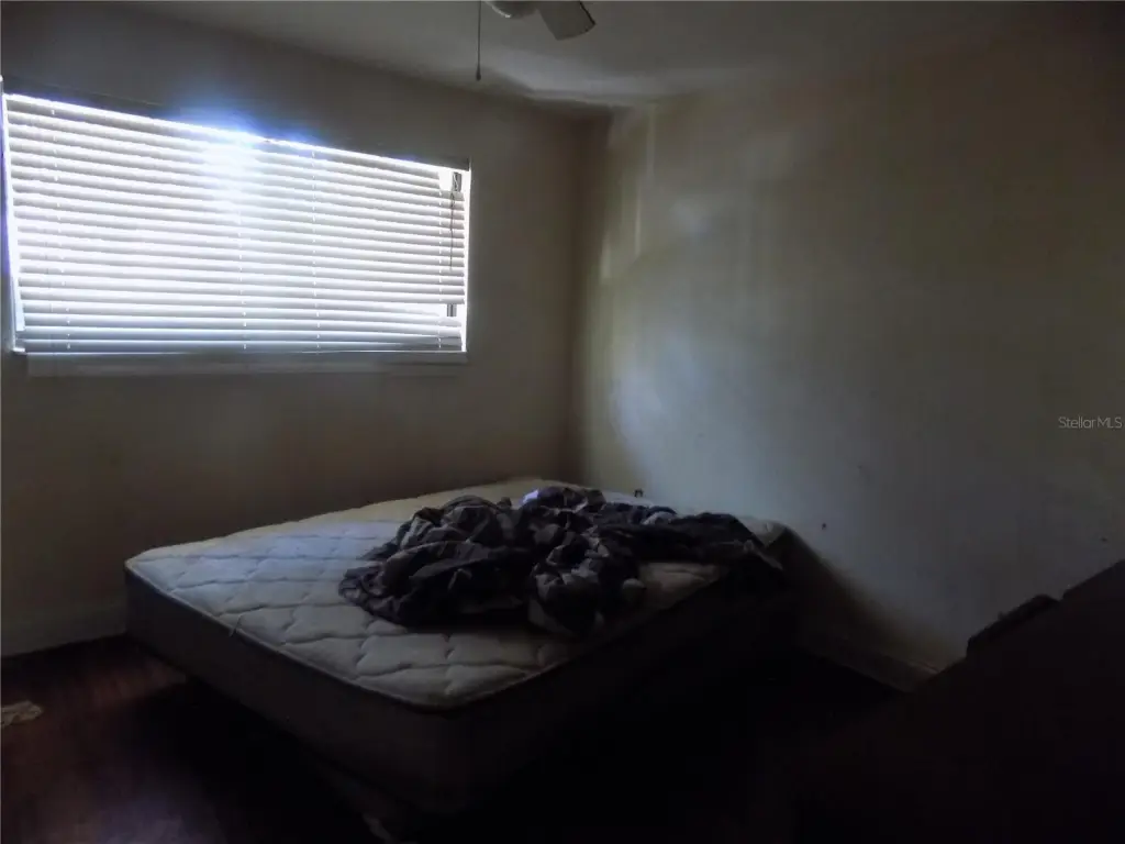 Picture 15