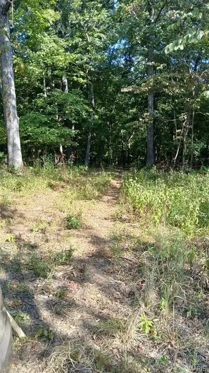 Picture 8