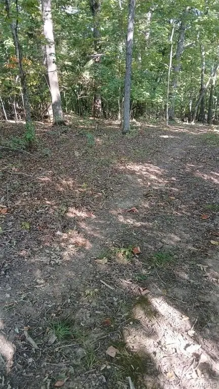 Picture 12