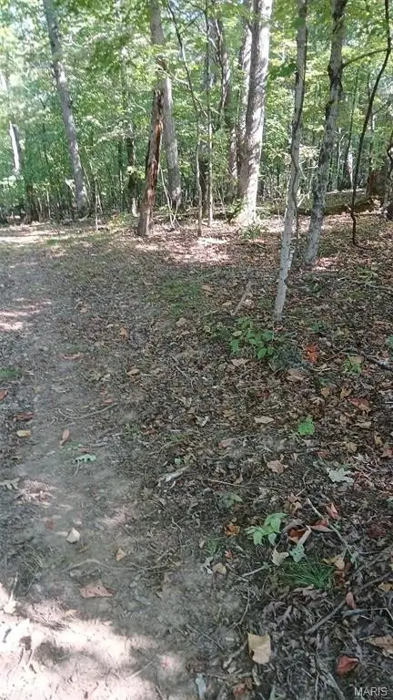 Picture 13