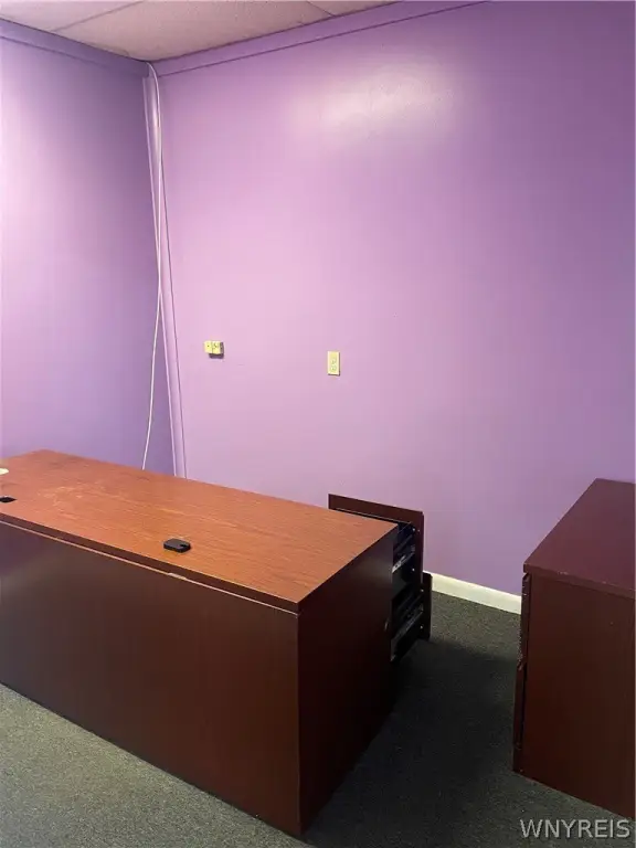 Picture 5