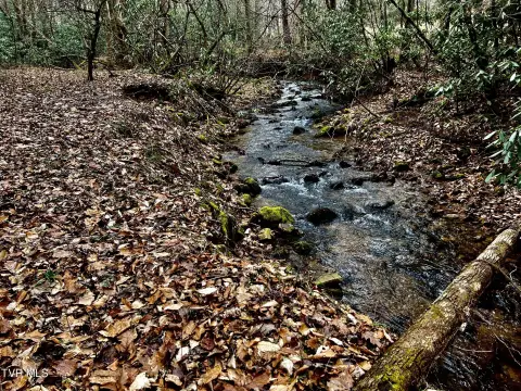 Unrestricted Land Bordering National Forest