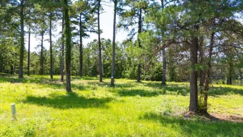 Gadsden, FL Land Opportunity