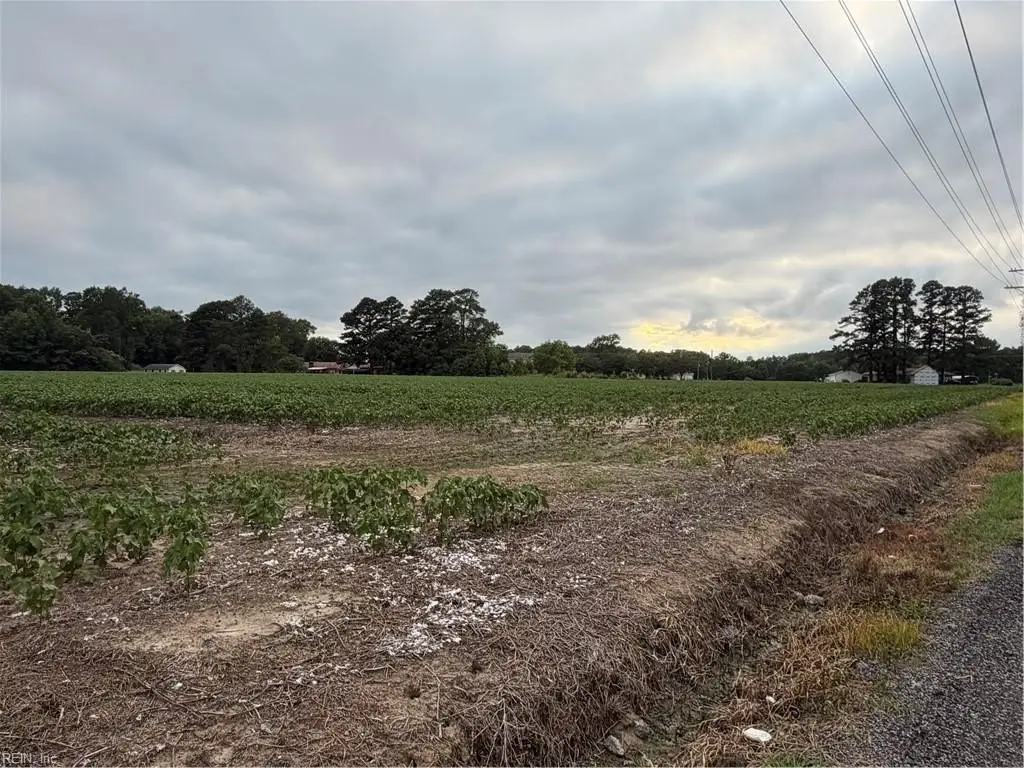 Picture 10