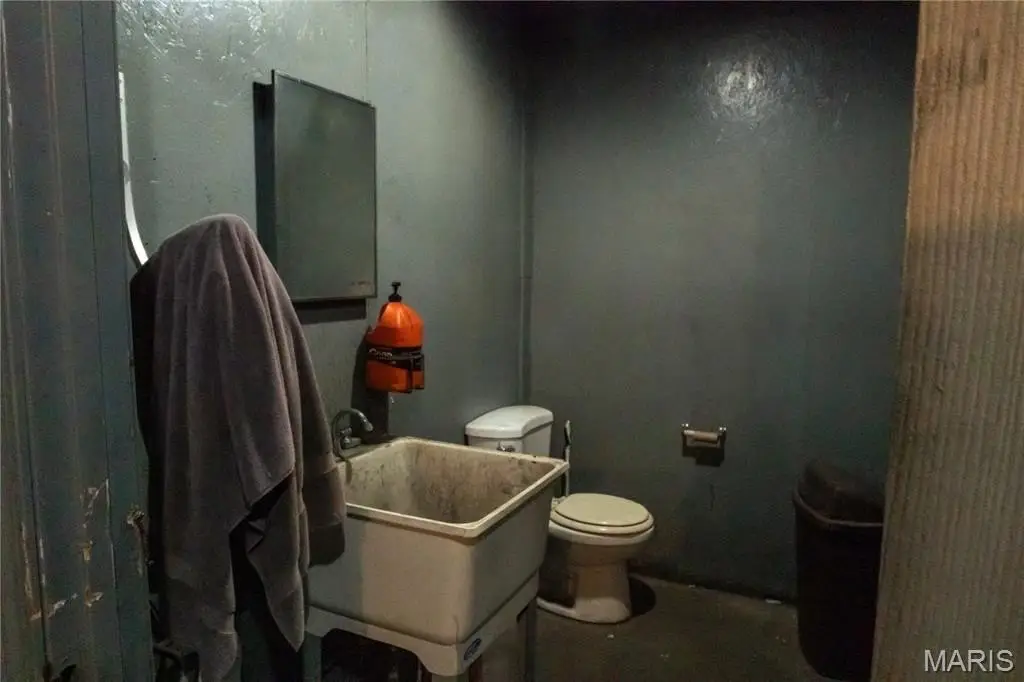 Picture 35