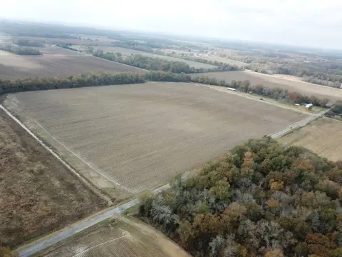 35 Acres Irrigated Farmland, Rayville