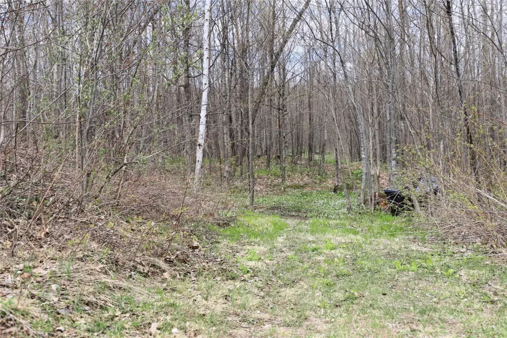 Picture 16