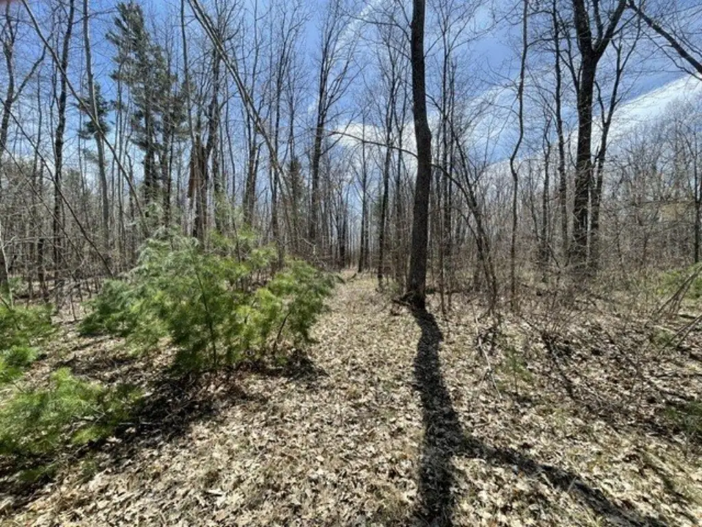 Picture 4