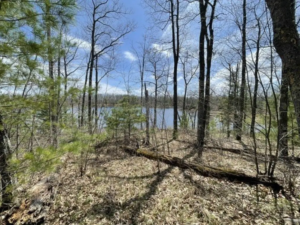 Picture 8