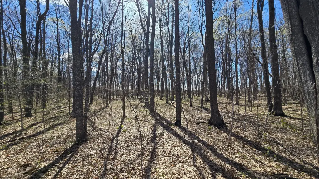 Picture 15