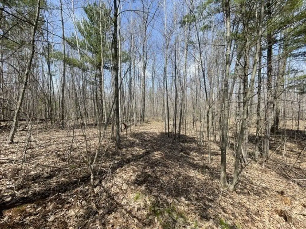 Picture 7