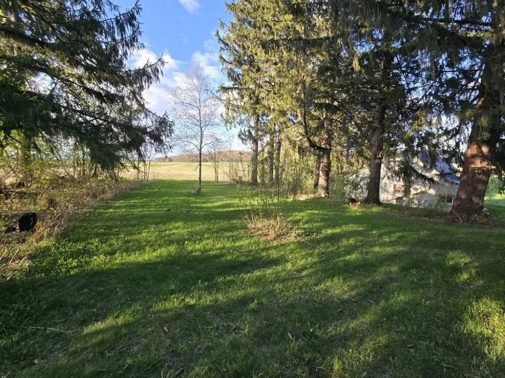 Picture 12