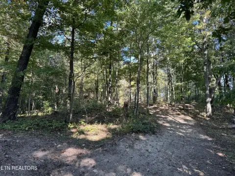 8.67 Acres Vacant Land, Blaine