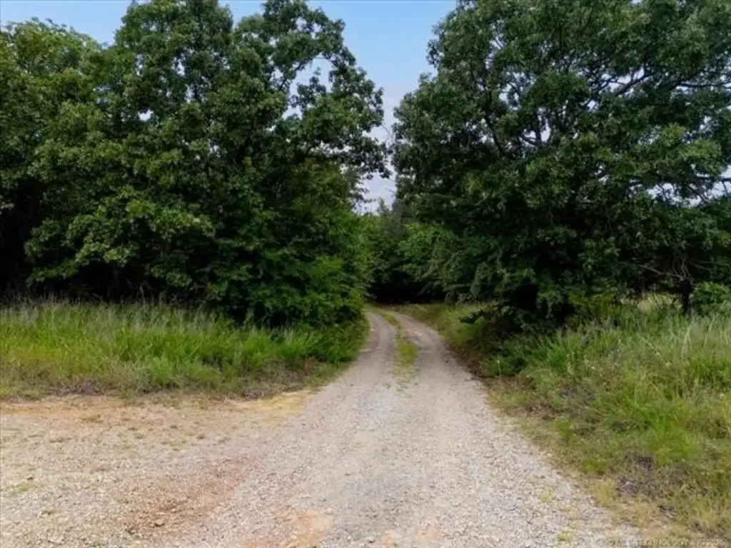 Picture 24