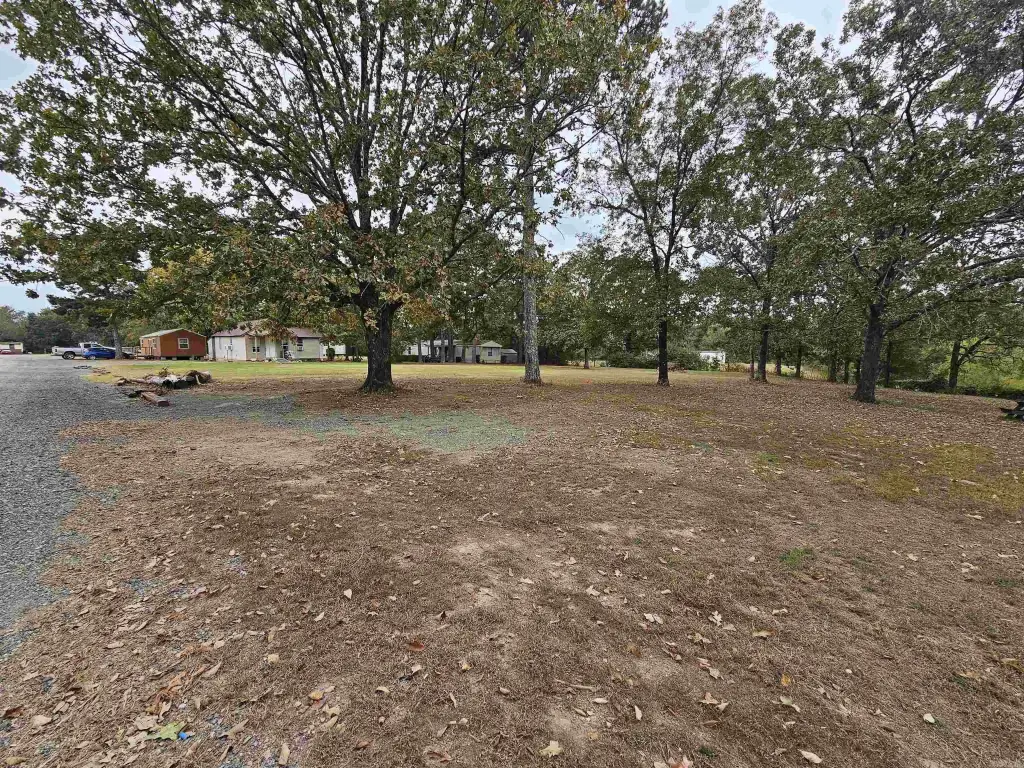 Picture 16
