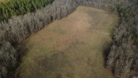 Hot Springs Acreage with Creek