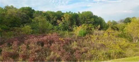 Black Brook Twp Land Parcel