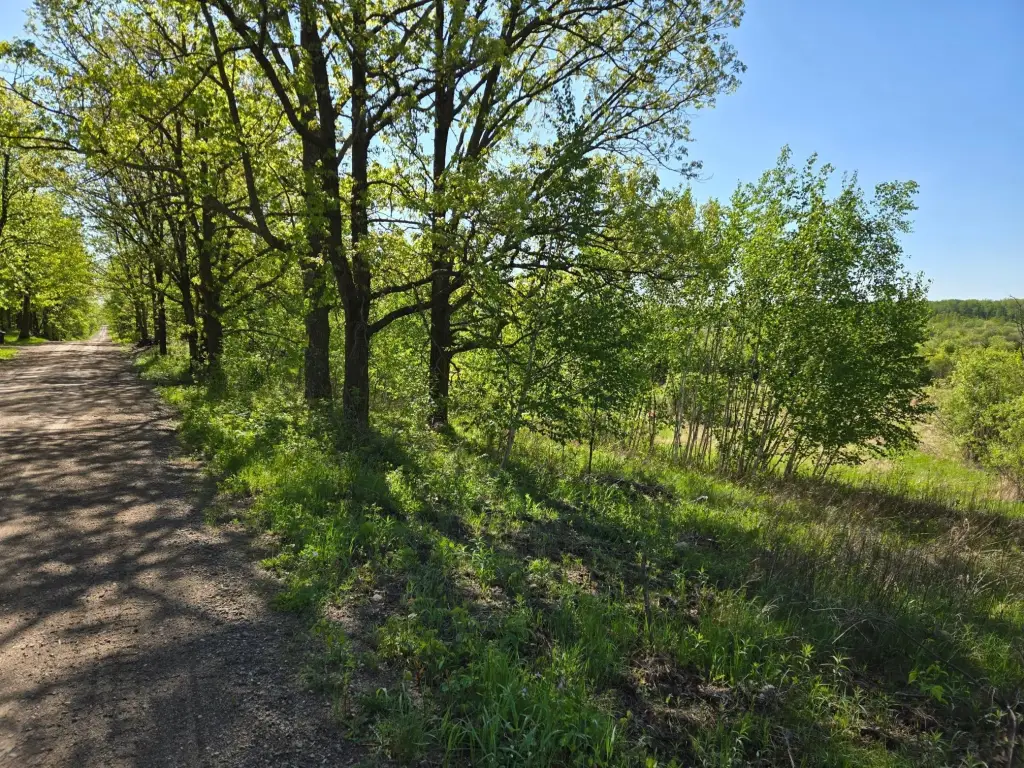 Picture 5