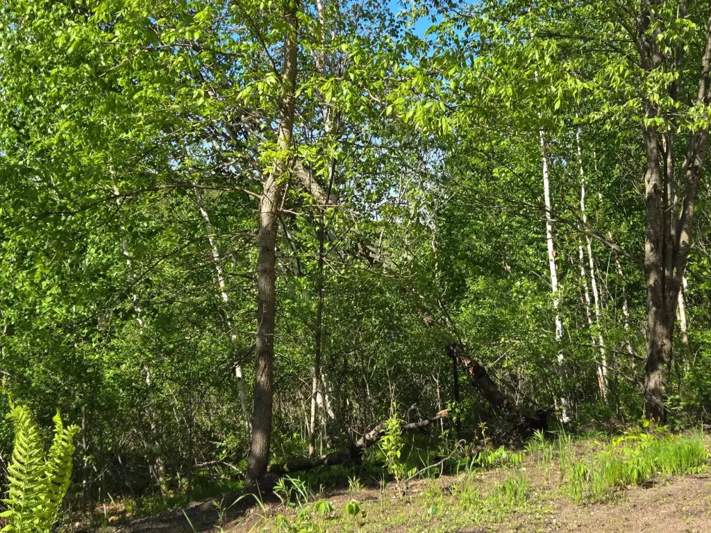 Picture 6