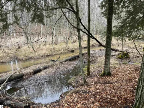 Wellston, MI Vacant Land